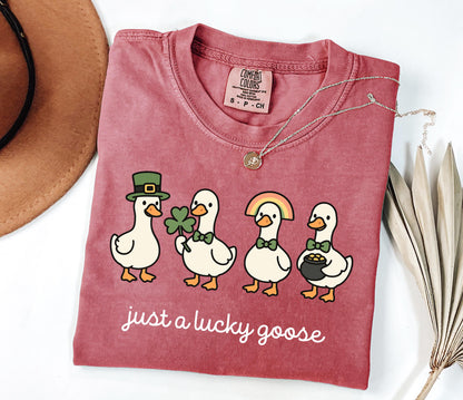 Comfort Colors® St Patrick's Day Shirt, Irish Gift, Cute St Patrick's Tshirt, Funny St Patrick Goose Tee, Holiday Goose Top, Festive Apparel